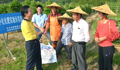 中化化肥全面保障春耕供應(yīng)，農(nóng)化服務(wù)守穩(wěn)百姓安心田