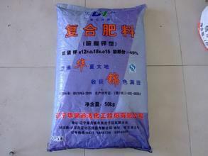 化肥顆粒自動(dòng)計(jì)量包裝機(jī) 從技術(shù)到價(jià)格全方位解析